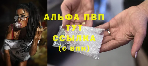 гашик Аркадак