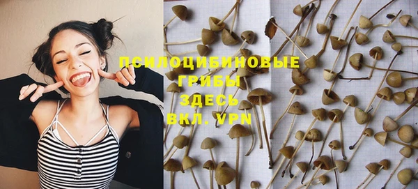 кокс Арсеньев