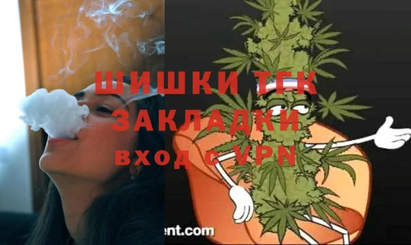 кокс Арсеньев