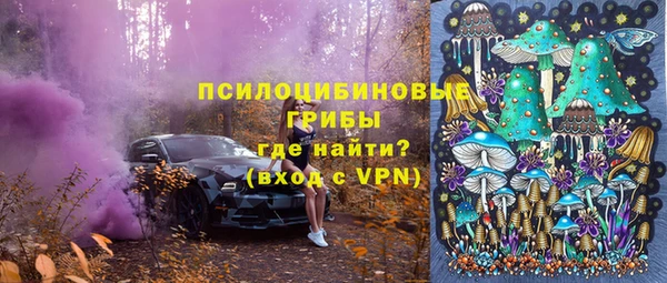 гашик Аркадак